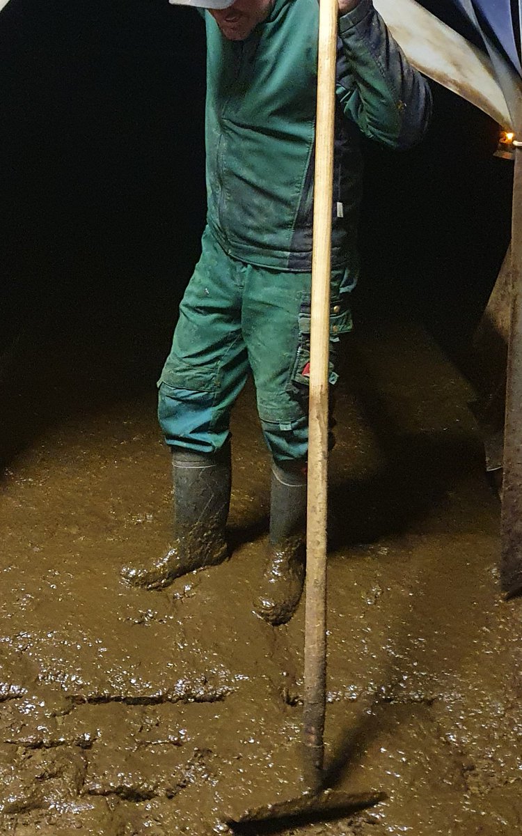 PuroHaix (@haixpuro) on Twitter photo 