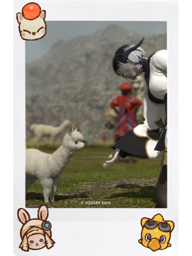 #FFXIV_instax #FFXIV #instax <a href="/instax_campaign/">instax™︎ X social campaign</a>
ffxiv-instaxde.belugacpn.jp/?q=5Y9ZGjSWhZq…