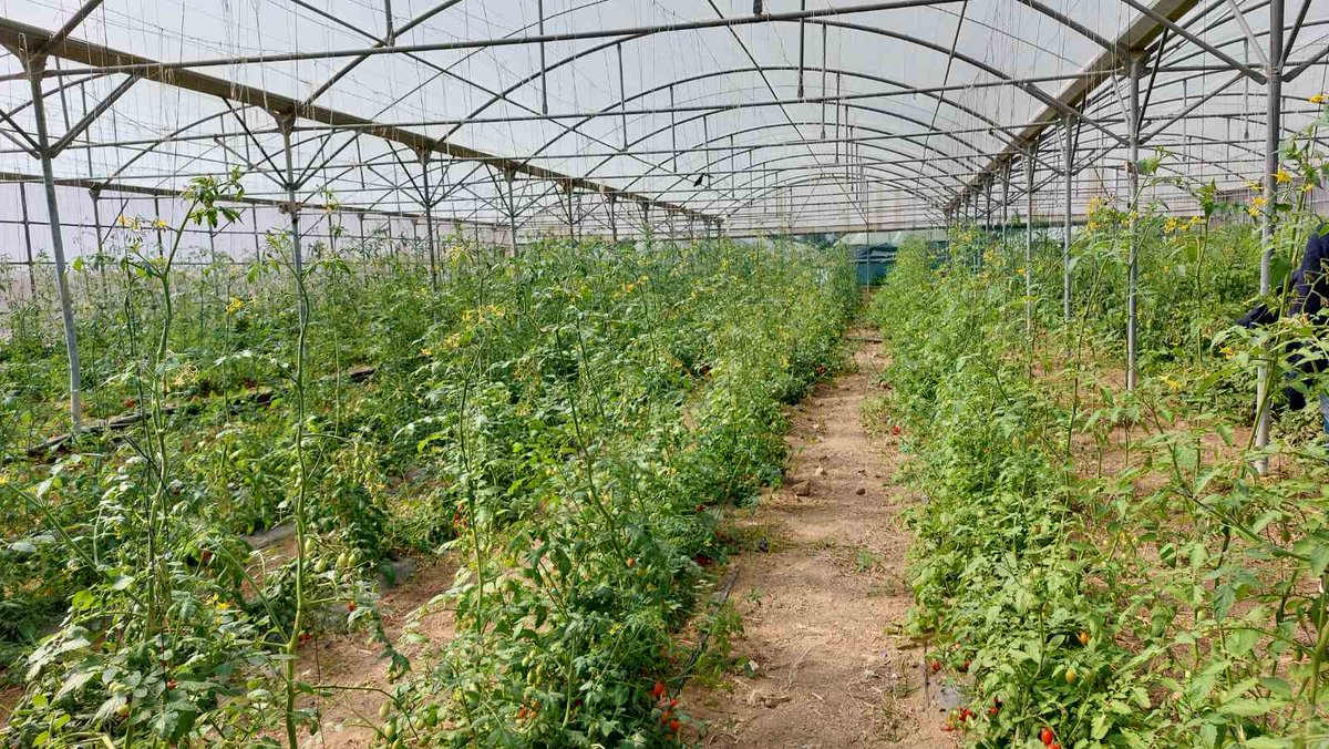 @EcoFuture.Prima tweet media