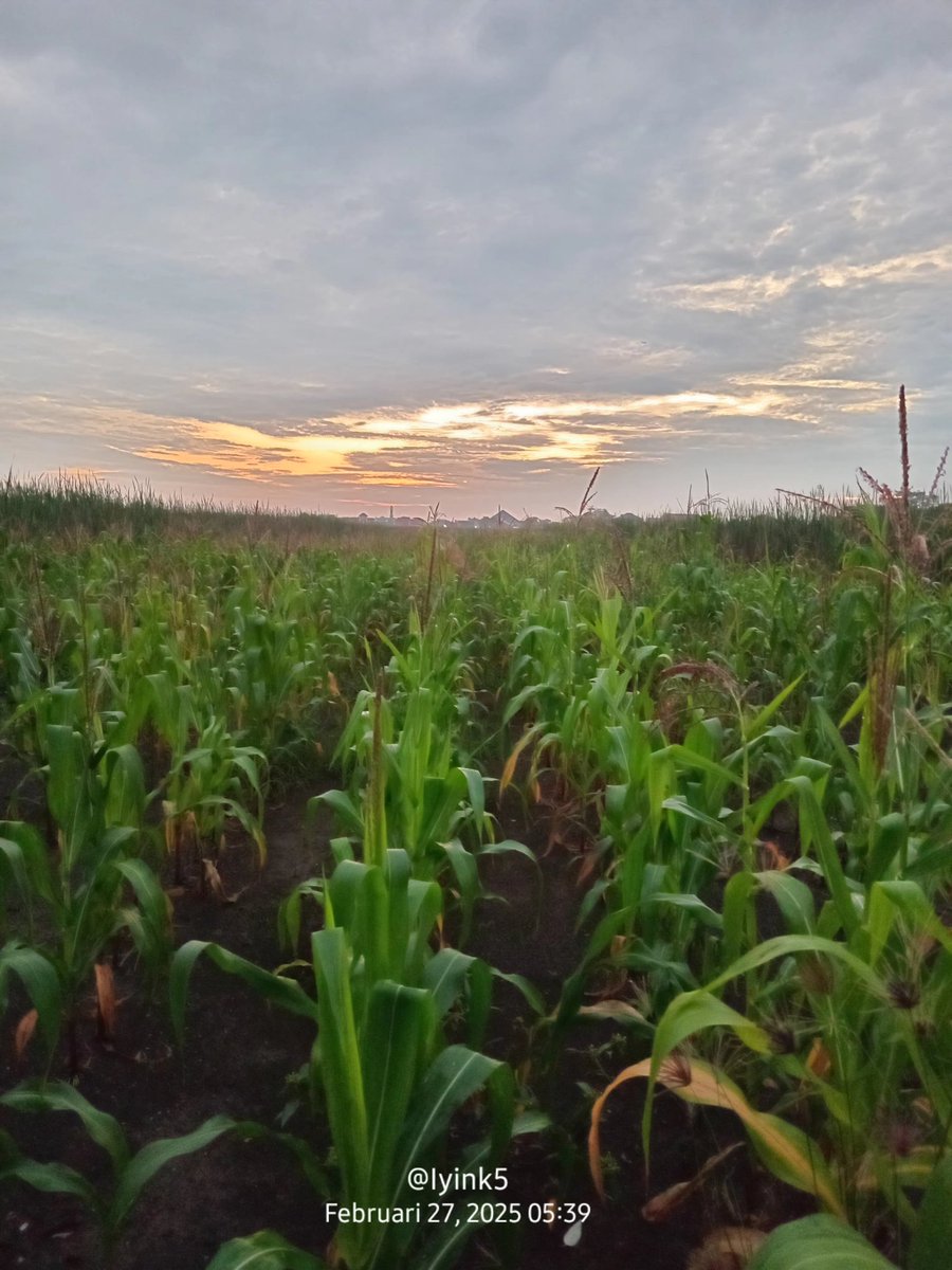 Iyink (@iyink5) on Twitter photo 