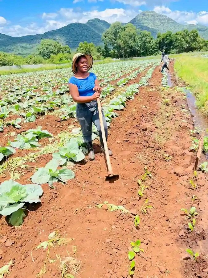 Temslee's tweet image. If farmers don't work, we'll starve to death. We need to thank farmers all over the world
Amin Southampton #LaCasaDeLosFamososCol Arteta Ramadan