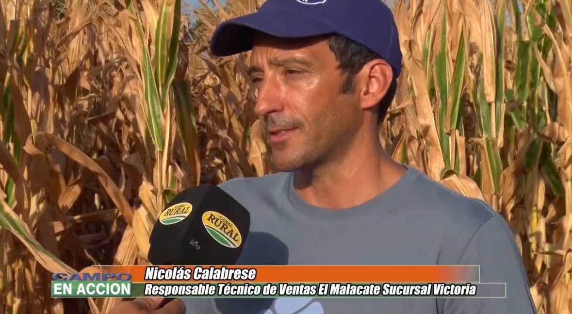 Nicolás nos cuenta sobre los resultados obtenidos con los híbridos #Dekalb 🌽🚀 en el ensayo del <a href="/circuloingvic/">CIAV</a>.
Agradecemos la nota a los chicos de <a href="/CampoenAccion/">Campo en Acción</a> 💪🏻
Link: youtube.com/watch?v=RlyBHI…
<a href="/AgroBayerAR/">Agro Bayer</a> <a href="/DekalbArgentina/">DEKALB Argentina</a>