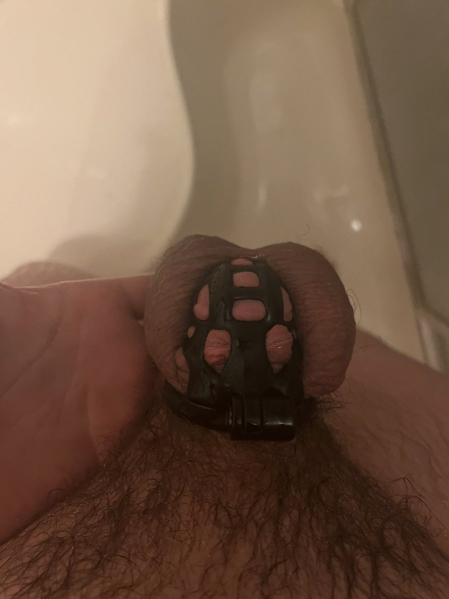 PupLucky1's tweet photo. After waking up to another strained morning wood, pup’s excited to get to spend the next 11 nights snuggling and sleeping with his Sir and Daddy! #TeamLocked #CollaredPupper #GoodestPupper https://t.co/ABNXC9Zmfl