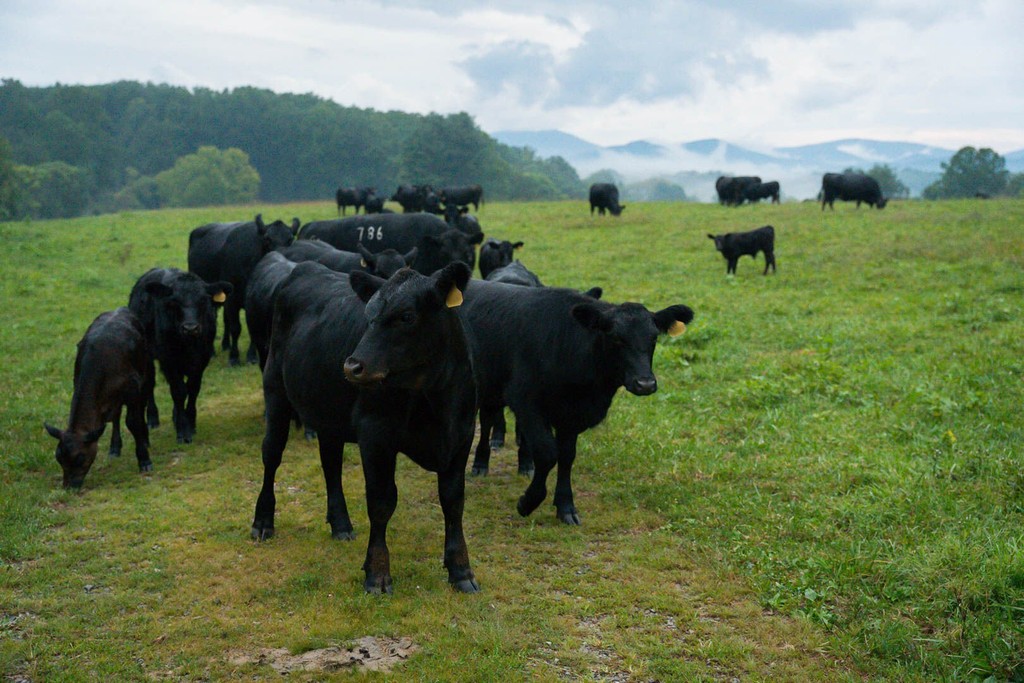 Worries abound in schools, farms, national park as shock waves from the Trump administration’s dramatic rescaling of federal departments, programs, grants and personnel. Read the full story by Tim Carrington at shorturl.at/NXSNi