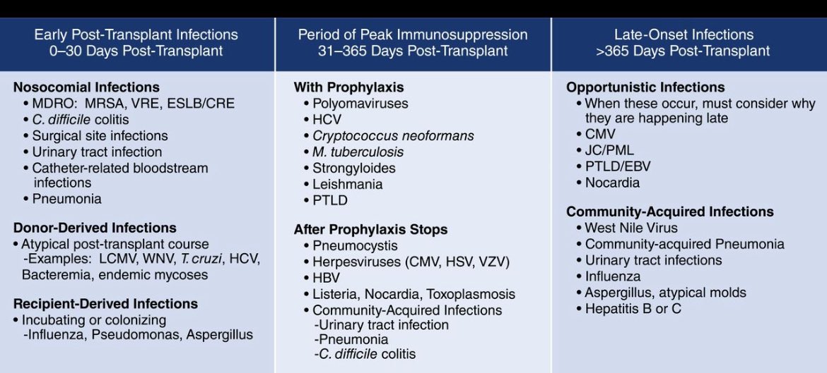 JasmineNephro's tweet photo. 🗓️ Timeline of infections post kidney transplant 

@CJASN 

https://t.co/Ar2ZXFD7o7 https://t.co/XkHF7LTQHf