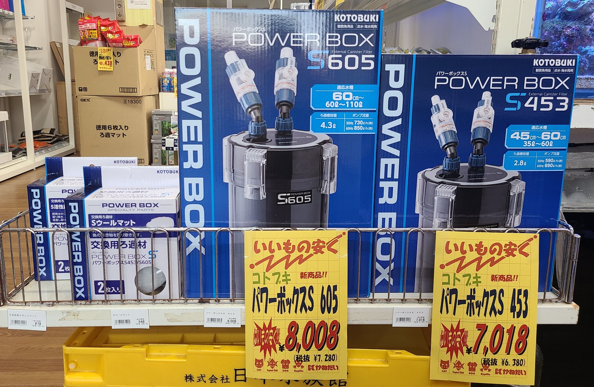 かねだい本町田店 観賞魚、爬虫両生類、小動物、用品部門 on X かねだい本町田店 観賞魚、爬虫両生類、小動物、用品部門 on X