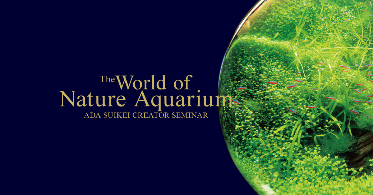 ウ*ニ様 【ADA】【アクアデザインアマノ】特約店 看板 ウ*ニ様 【ADA】【アクアデザインアマノ】特約店 看板