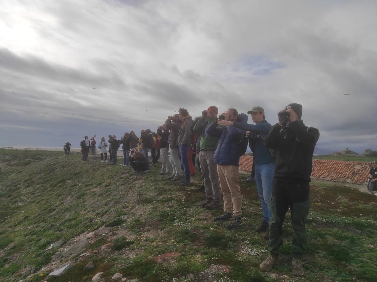 ICOcells (@icocells) on Twitter photo L’ICO ha participat en la conferència E-COST a Tarifa, sobre la migració d’ocells terrestres, organitzada per <a href="/EUFLYNET/">EUFLYNET COST Action</a>. Aquesta trobada ha permès compartir avenços científics i aprofundir en el coneixement dels patrons migratoris de les espècies terrestres. L’ICO ha participat en la conferència E-COST a Tarifa, sobre la migració d’ocells terrestres, organitzada per <a href="/EUFLYNET/">EUFLYNET COST Action</a>. Aquesta trobada ha permès compartir avenços científics i aprofundir en el coneixement dels patrons migratoris de les espècies terrestres.