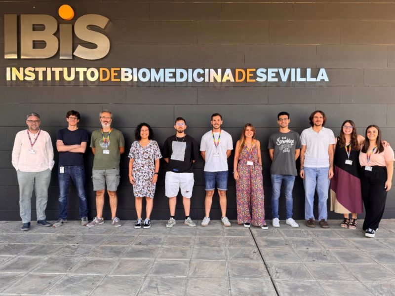 🧠✨ El complejo I mitocondrial de la microglía es clave para un cerebro sano.
Nos lo cuentan <a href="/bellamoraromero/">Bella Mora Romero</a> <a href="/Capelo_Carrasco/">Nicolás Capelo Carrasco</a> et al. en su artículo de #investigación que compartimos en <a href="/SEBBM_Revista/">Revista SEBBM</a> 
👉 s.mtrbio.com/guefulyatz