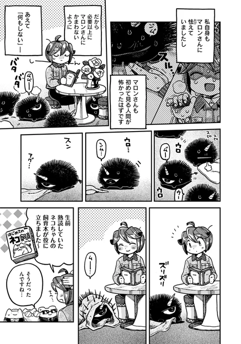 👋なでるだけのお仕事です!👋
🎉最新話 第16なで こわくない!狂栗の触り方🎉
先読み有料更新されております!
🌰https://t.co/jb3umP2g3N🫲 