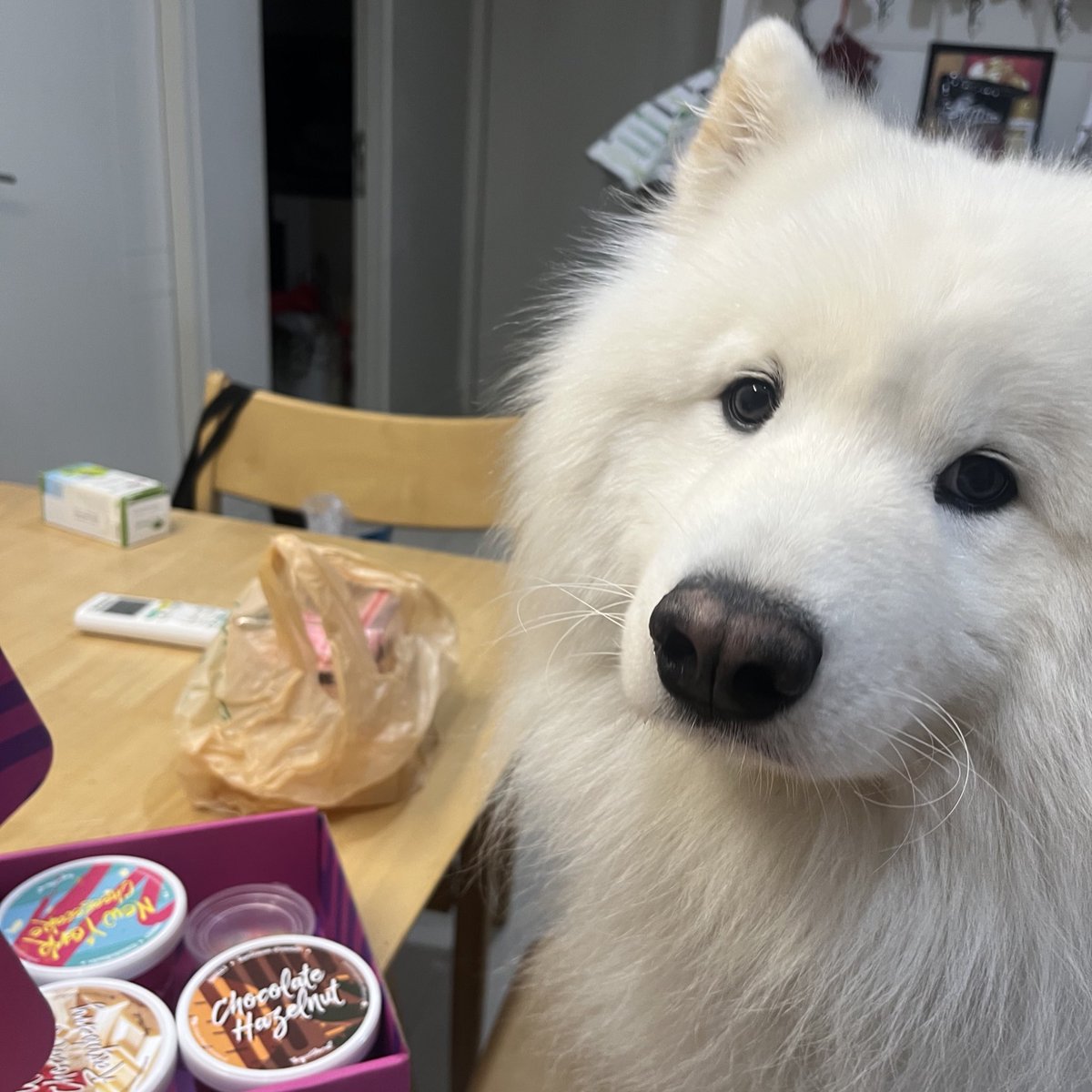 พอร์ชขอกินด้วยได้มั้ย 🧁🍨