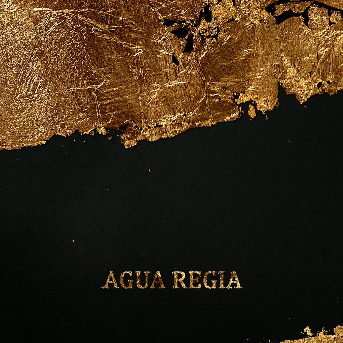 Música En Todo Su Esplendor (@metse_oficial) on Twitter photo ¡ <a href="/l_blondes/">LES BLONDES</a> lanza su nuevo disco: #AguaRegia ! musicaentodosuesplendor.es/2025/02/agua-r… ¡ <a href="/l_blondes/">LES BLONDES</a> lanza su nuevo disco: #AguaRegia ! musicaentodosuesplendor.es/2025/02/agua-r…