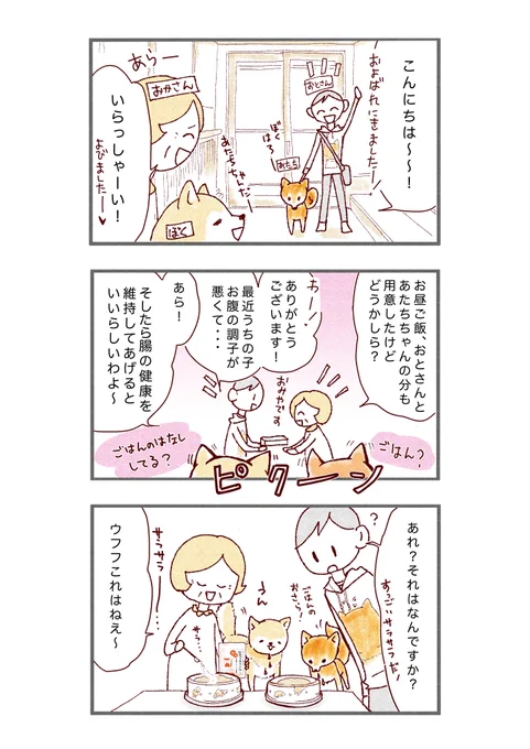 わんちゃんの腸の健康維持に、わんビオフェルミンSが新登場です!
さらっさらの粉状サプリメントだからいつものご飯にまぜてもいつも通り食べてくれます☺️
https://t.co/rwa04cSORd
#PR
#大正製薬
#わんビオフェルミンS 