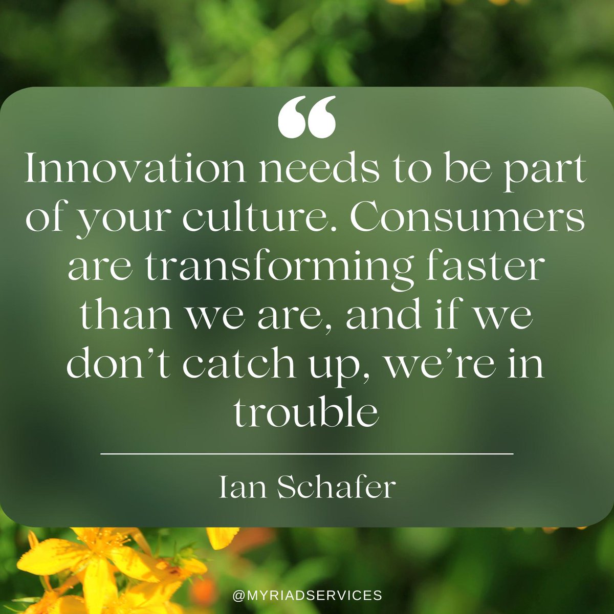 Hayley Andrews Smith tweet media