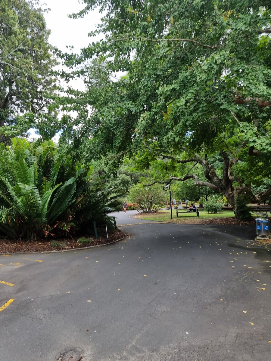 Evelyn Huang (@evelyn_huang_) on Twitter photo Had a great time in hilly Auckland. Thank you to Jemila from <a href="/AUTuni/">AUT University</a> for helping me with neural network modelling, <a href="/AucklandUni/">University of Auckland | Waipapa Taumata Rau</a> and <a href="/ScienceUoA/">Faculty of Science, University of Auckland</a> for giving me the chance to present my first ever 1-hr seminar, and <a href="/BashiriLab/">Bashiri Lab</a> for the support and the catch-up! 😄 Had a great time in hilly Auckland. Thank you to Jemila from <a href="/AUTuni/">AUT University</a> for helping me with neural network modelling, <a href="/AucklandUni/">University of Auckland | Waipapa Taumata Rau</a> and <a href="/ScienceUoA/">Faculty of Science, University of Auckland</a> for giving me the chance to present my first ever 1-hr seminar, and <a href="/BashiriLab/">Bashiri Lab</a> for the support and the catch-up! 😄