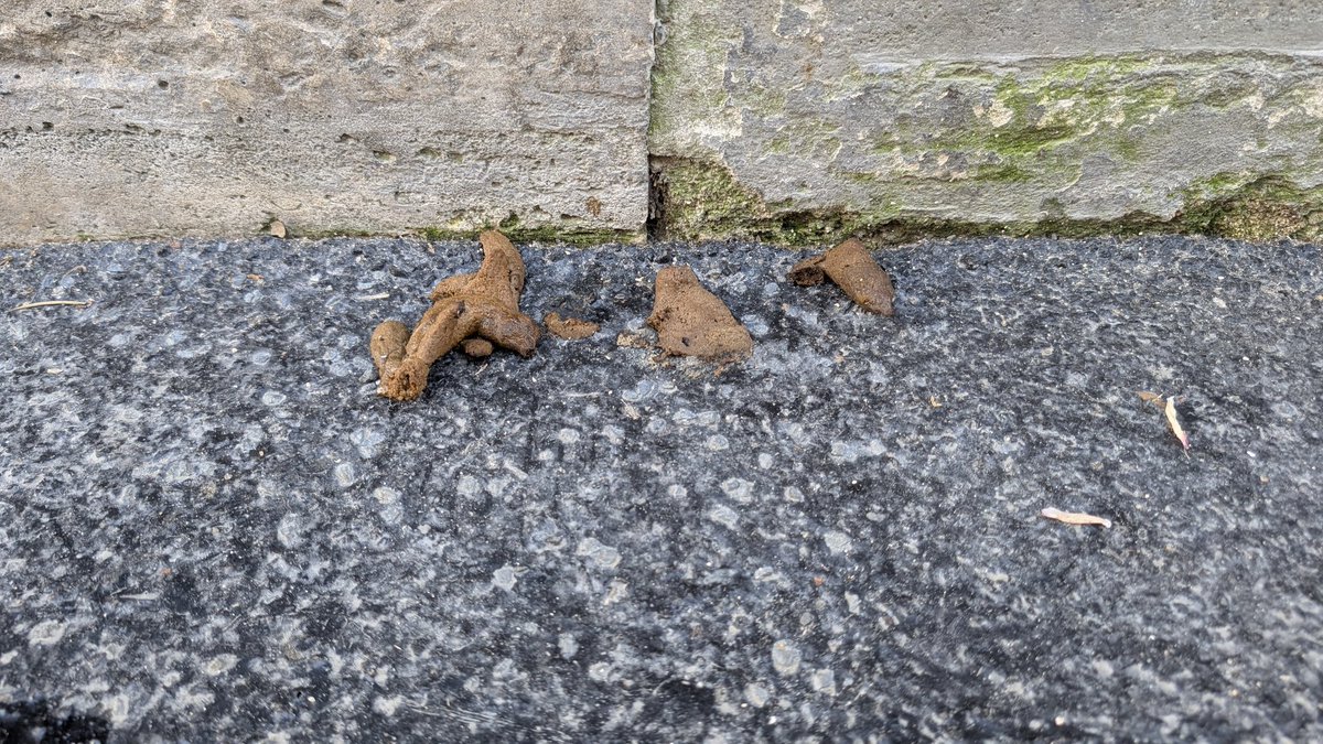 Rue Myrha, flambant neuve, déjà dégueulasse. La théorie de la vitre cassée est une légende urbaine. 

Les porcs resteront des porcs, tant qu'on les laissera faire.

<a href="/Dupont9A/">𝗔𝗻𝘁𝗼𝗶𝗻𝗲 𝗗𝗨𝗣𝗢𝗡𝗧</a> <a href="/KevinHavet/">Kévin Havet</a> <a href="/mairie18paris/">Mairie 18 Paris</a> <a href="/JCQDSE/">jdse</a>