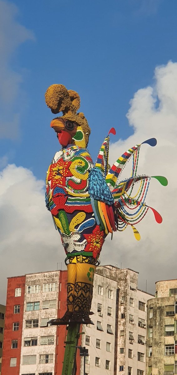 O Galo Gigante acordou reinando na Ponte Duarte Coelho, no Centro do Recife. Já é carnaval, minha gente. Sábado tem Galo da Madrugada.