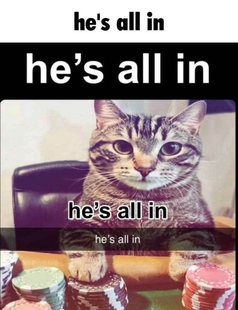 he's all in