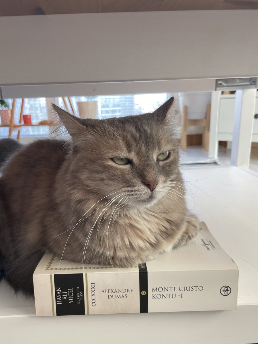 Okuma yazma bilmediğini fark etti