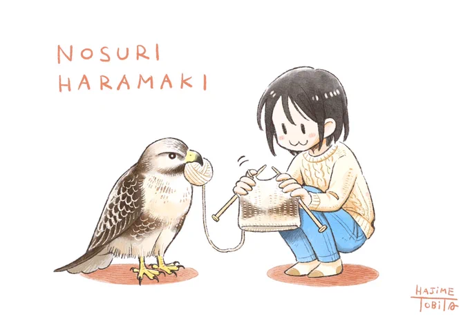 ノスリさんのお腹の帯模様、「ノスリ腹巻」って呼ばれてるの超かわいいな… 