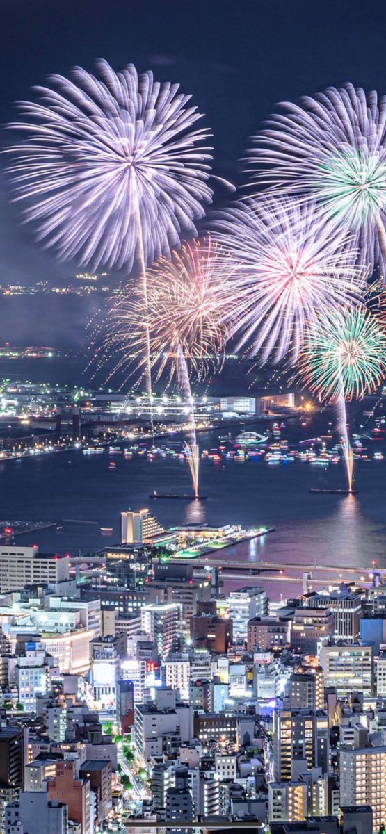 ☪弓月（ゆづき）☪ tweet media