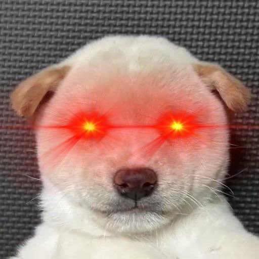 GeniusdimmieDml's tweet photo. @Regrets10x Buy $PABLO a good looking memecoin 
Shilling to world and sending to Valhalla 

6FgVrXLXZTdRvG3oJepcneM52FqN9iVYUrUsHucrpump https://t.co/NI6AsxtH8w