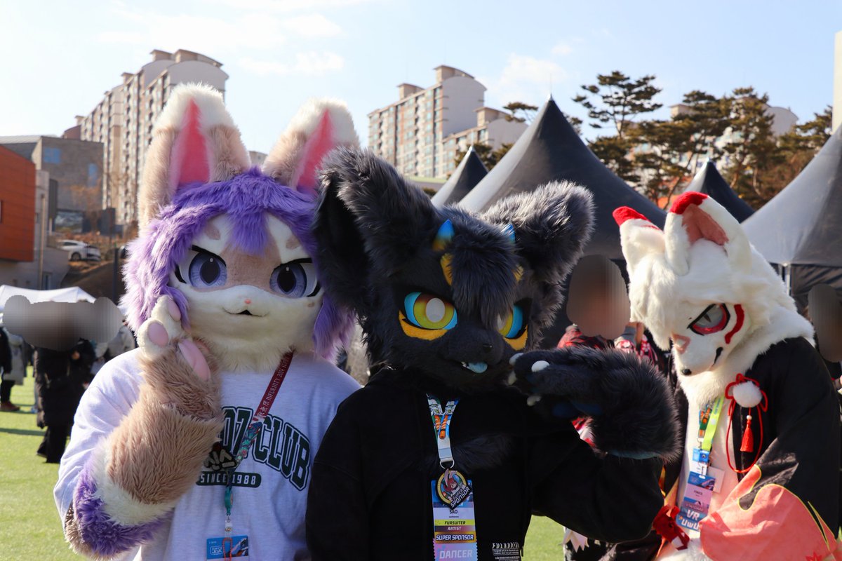 Digicam_bori's tweet photo. #Fursuiteveryday #Fursuitseveryday 🐱🐱🐾 https://t.co/ZuEAaJ0ZHW