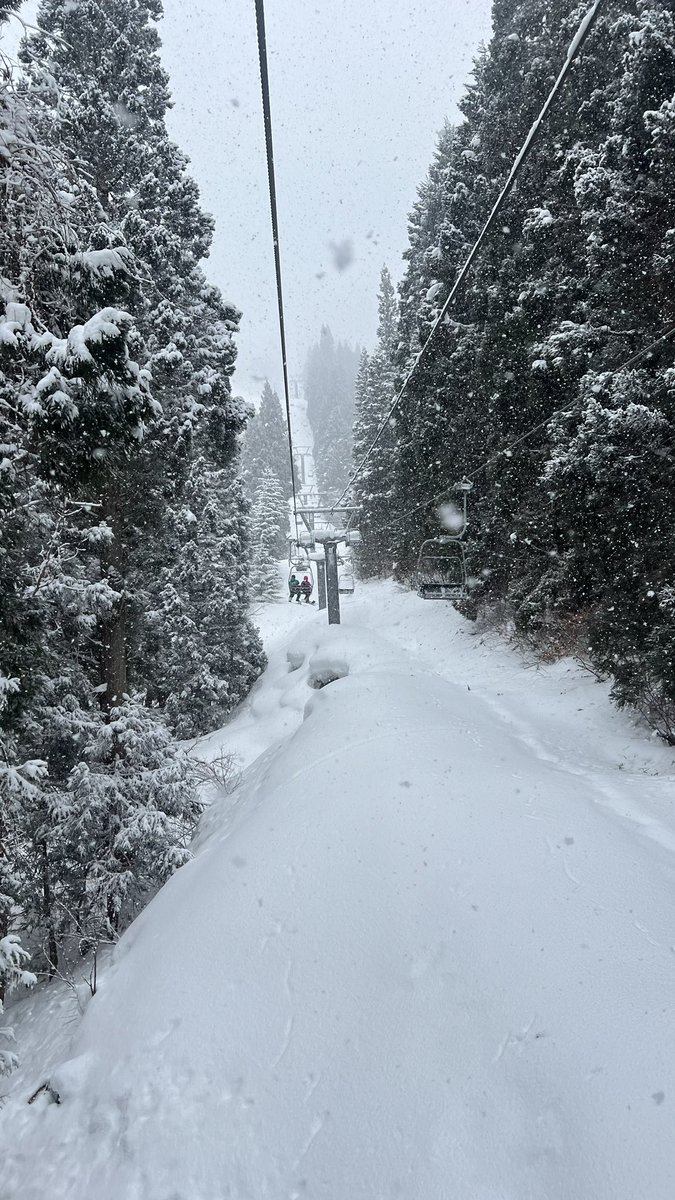 Satoshi_Itaba's tweet photo. ふわ雪からの春雪☃️🌸
#秋田 #花輪スキー場 https://t.co/jdtPDkcnZb