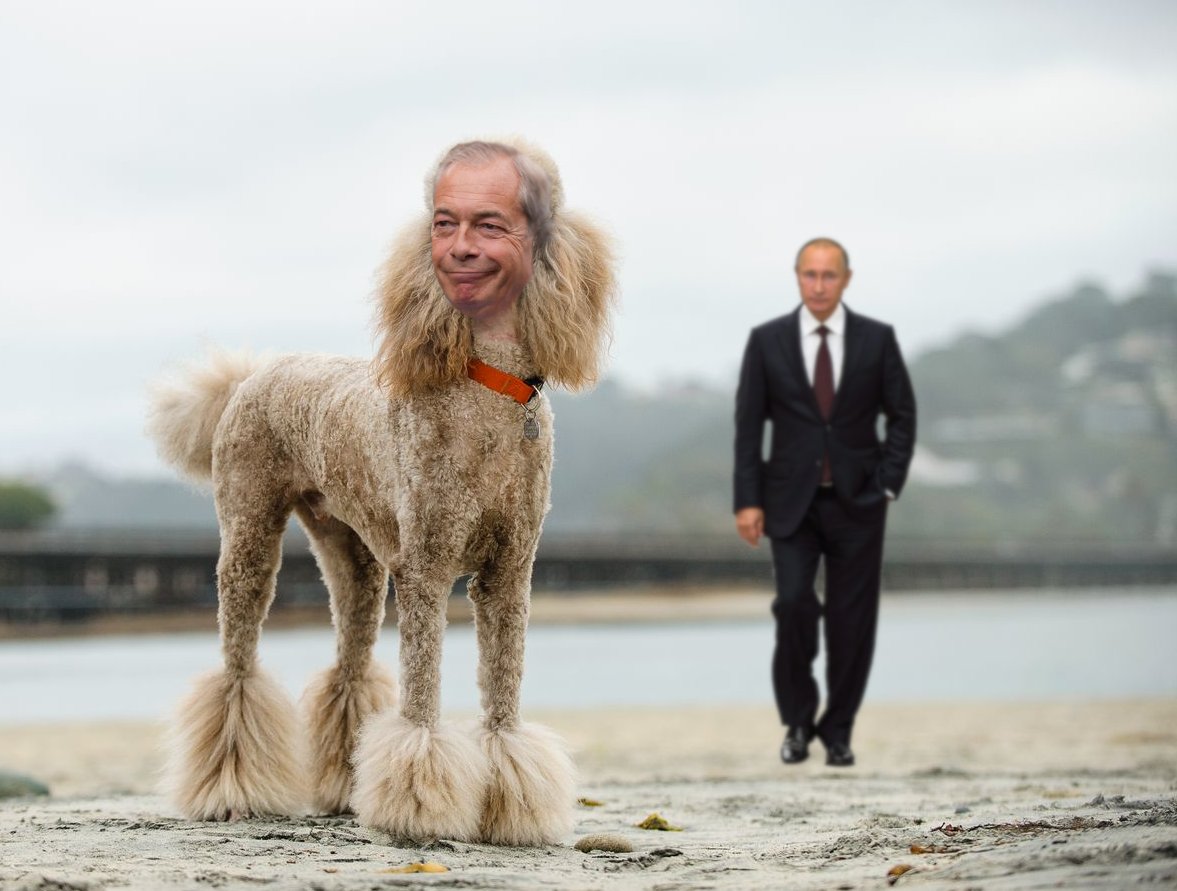 #PutinsPoodle

Reposting because it upset Reformers so much.