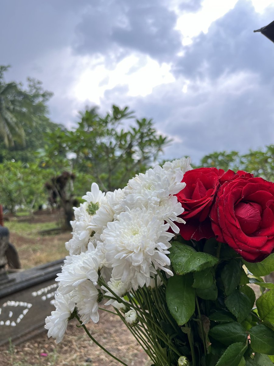 saafstudy's tweet image. Al Fatihah Safina Yulinda Putri 🤍