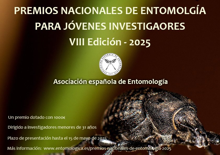 VIII Edición Premios Nacionales de Entomología para Jóvenes Investigadores - 2025

La AeE convoca la VIII Edición de estos Premios dirigidos a estimular a jóvenes que desarrollan su investigación en Entomología.

Bases de la Convocatoria: entomologica.es/premios-nacion…