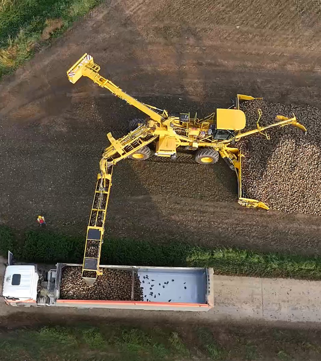 Did you know we run a Beet Delivery Service (BDS) for the #homegrownsugar industry?🚜🚛Allocating contractors to clean, load or deliver growers' sugar beet.
If you're interesting in tendering for this work, register here 👇by 5pm on Monday 3 March landing.britishsugar.com/bdstender20252…