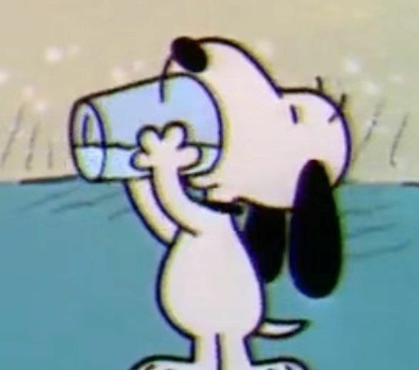 ★ (@snoopyzito) on Twitter photo 