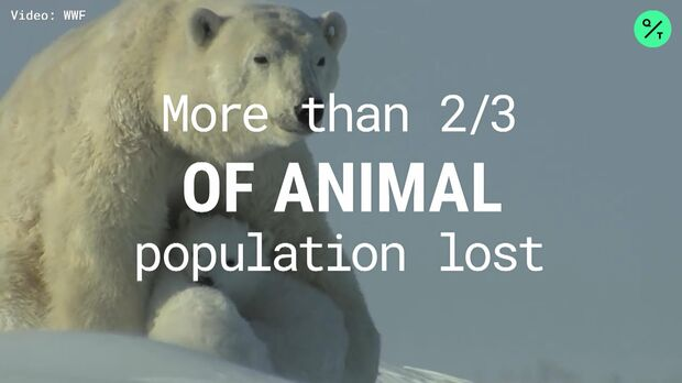 Humans terminating life on Earth causing mass extinction at a rate not seen since last major extinction event 66 million years ago and they call it progress
Overall population sizes of "mammals birds amphibians reptiles and fish" dropped by 68% since 1970
salon.com/2021/06/01/hum…