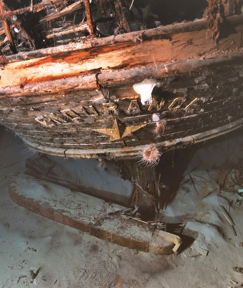 Thanks to <a href="/teamvoyis/">Voyis</a>' cutting-edge imaging, the legendary Endurance wreck has been revealed in stunning new detail. We're proud to have played a key role in this historic expedition alongside the Falklands Maritime Heritage Trust.

Discover our webinar: youtu.be/v6t9yAWJEAI