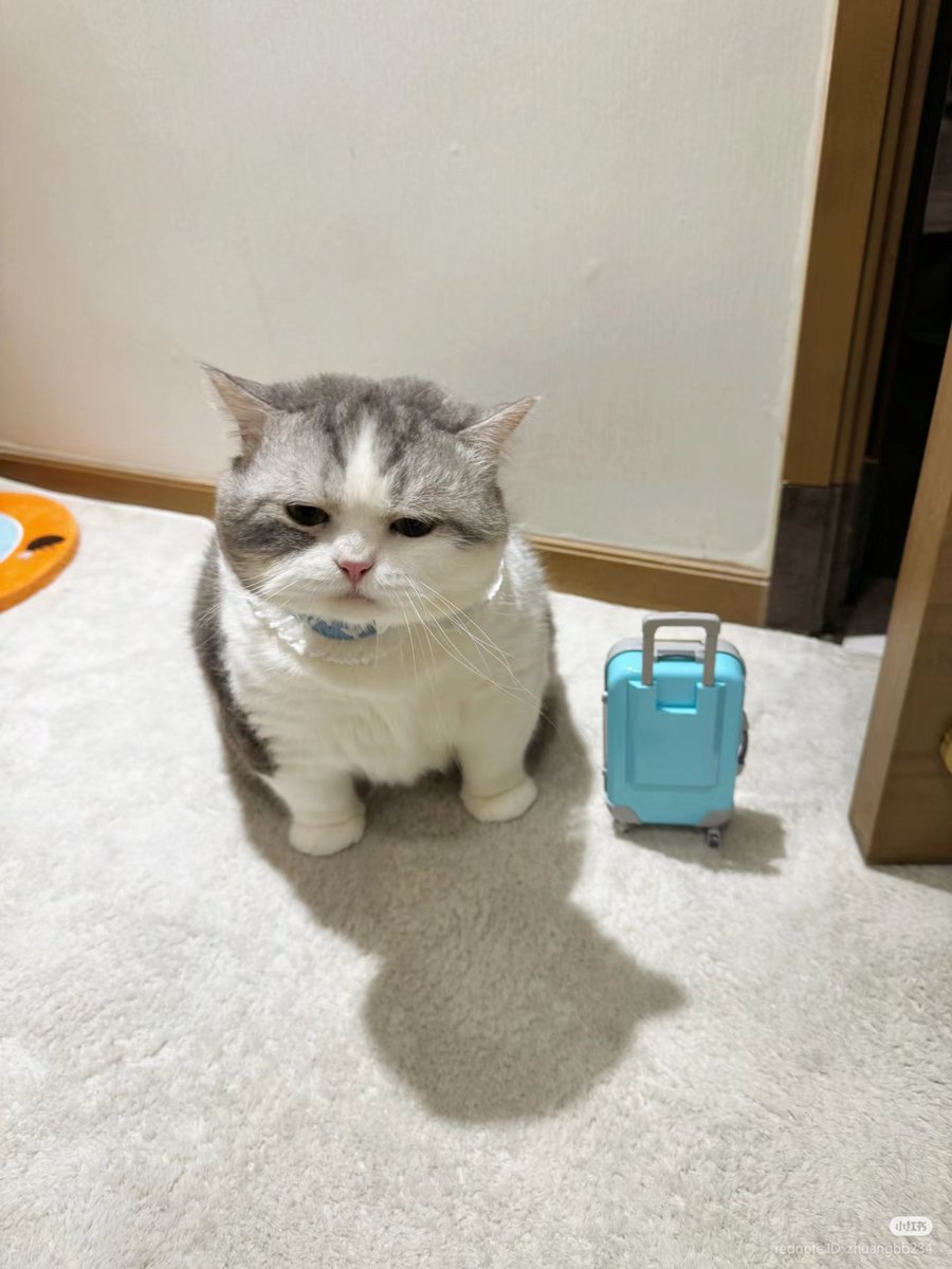 Ak izin pergi dulu yah?? [sedi]