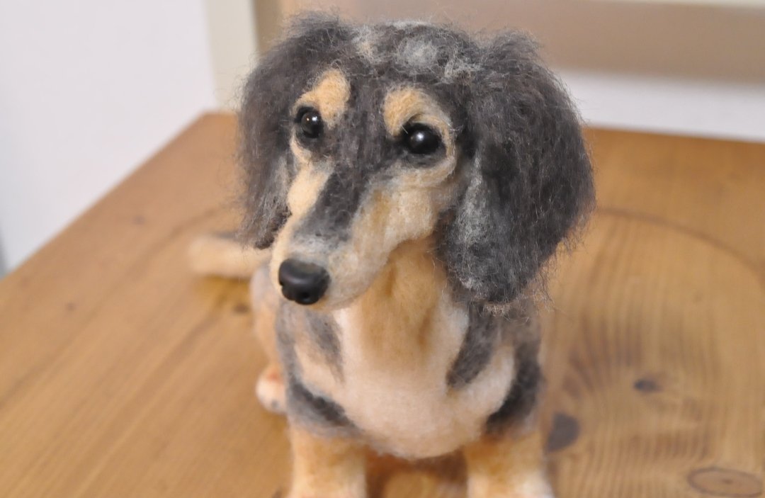 オーダーで制作させて頂いたシルバーダップルのダックスちゃんです😊

オーダーはInstagramから受け付けております。

#羊毛フェルト
#ハンドメイド
#ミニチュアダックス
#ダックスフンド