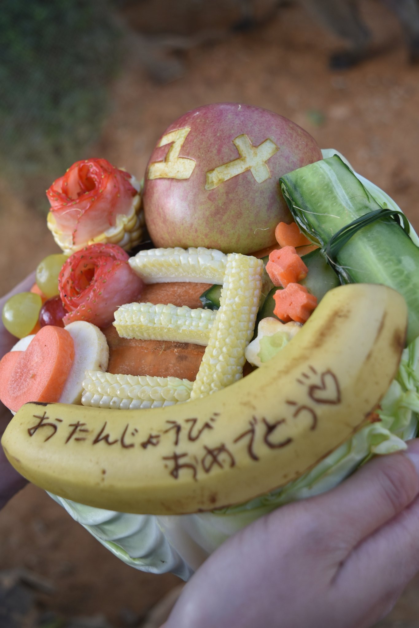美らヤシパークオキナワ・東南植物楽園【公式】 on X: 