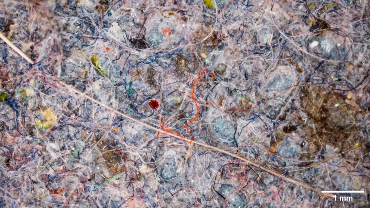 Max Pennington tweet media