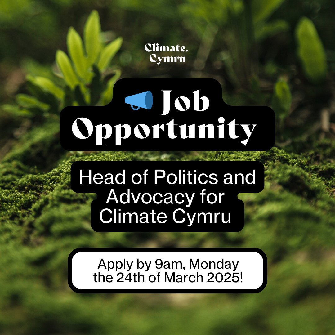 🚨 We're Hiring! 🚨

Join Climate Cymru as Head of Politics &amp; Advocacy to lead our 2026 Senedd election strategy, push for bold climate policies, &amp; engage decision-makers! 🌍🏛

🔗 Apply: climate.cymru/head-of-politi…

#Hiring #ClimateJobs #Advocacy #Senedd2026 #GreenCareers