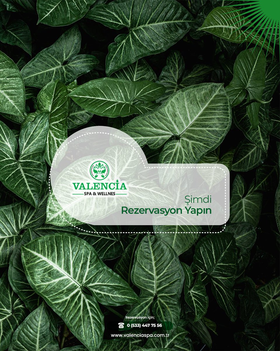 valenciawellnes's tweet photo. VALENCIA SPA &amp; WELLNESS

📍 Detaylı bilgi ve rezervasyon için: https://t.co/VWV7TyWAFH
📞 İletişim: 0533 447 75 56

#ValenciaSpa #wellness #masaj #rahatlamaterapisi #yenilenme #spakeyfi #istanbulspa #sağlık #güzellik #termalbanyo #vücutbakımı #atasehir #istanbul https://t.co/EhNfO9jFAW
