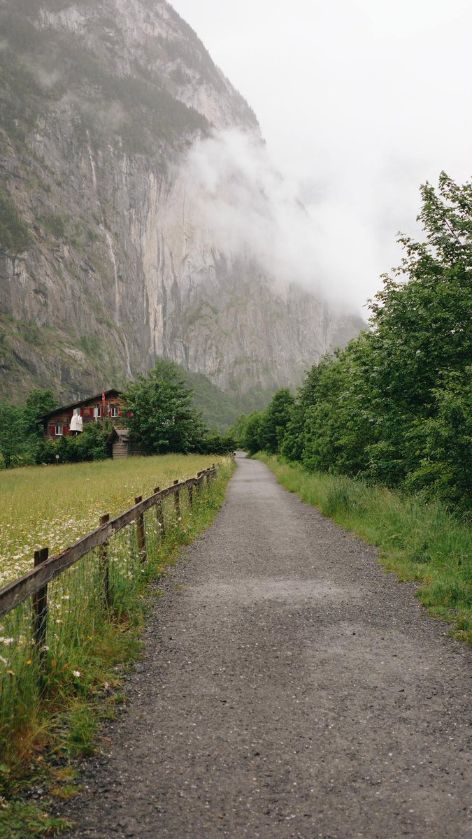 MomentsFeed's tweet image. Misty Mountain Retreat

Dappled mist wraps the winding path, shrouding ancient trees in mystery.

#MistyForest #AncientTrees #PathLessTraveled

© Melike  B