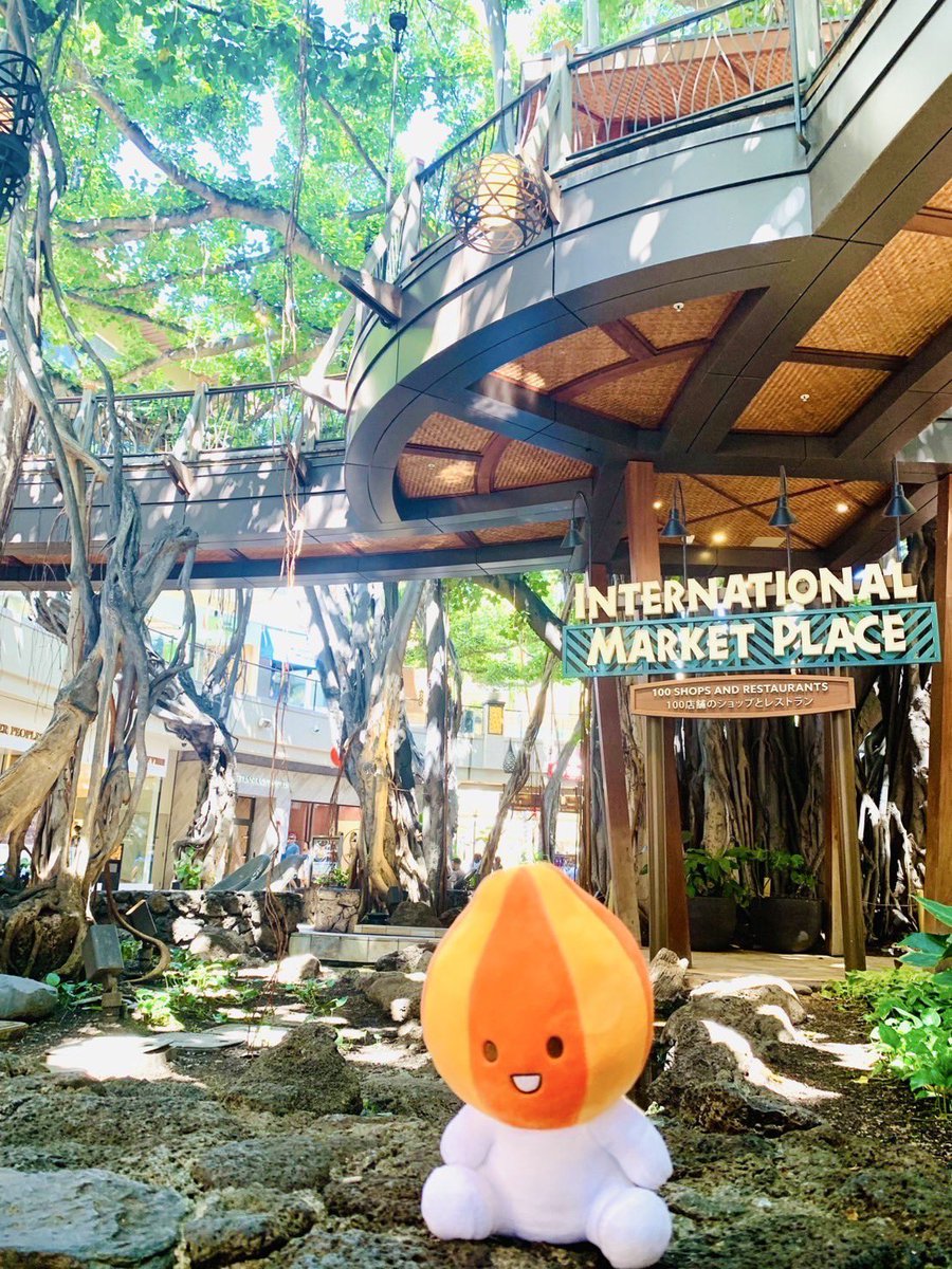 kitamitamanegi's tweet image. きーたんハワイにいく
あついー
#kitan
#きーたん
#北見玉ねぎ
#北見
#玉ねぎキャラクター