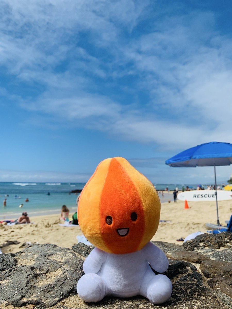 kitamitamanegi's tweet image. きーたんハワイにいく
あついー
#kitan
#きーたん
#北見玉ねぎ
#北見
#玉ねぎキャラクター