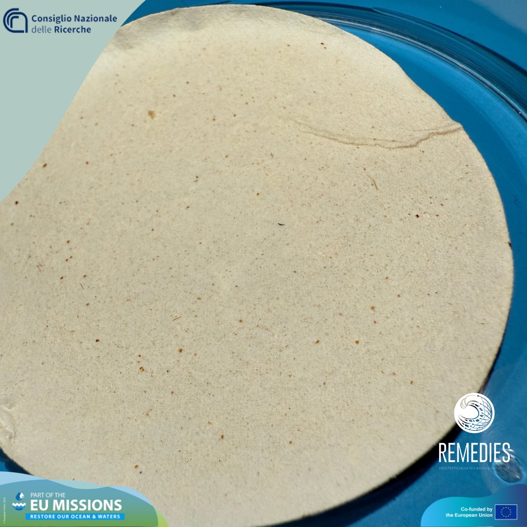remedies_EU's tweet image. 🔬 Students from IIS  Majorana Maitani dive into scientific research at OrvietoScience2025 with the support of @CNRsocial_ 

#OrvietoScience2025 #Microplastics #EnvironmentalResearch #StudentScientists #REMEDIESforOcean #CNR&quot;