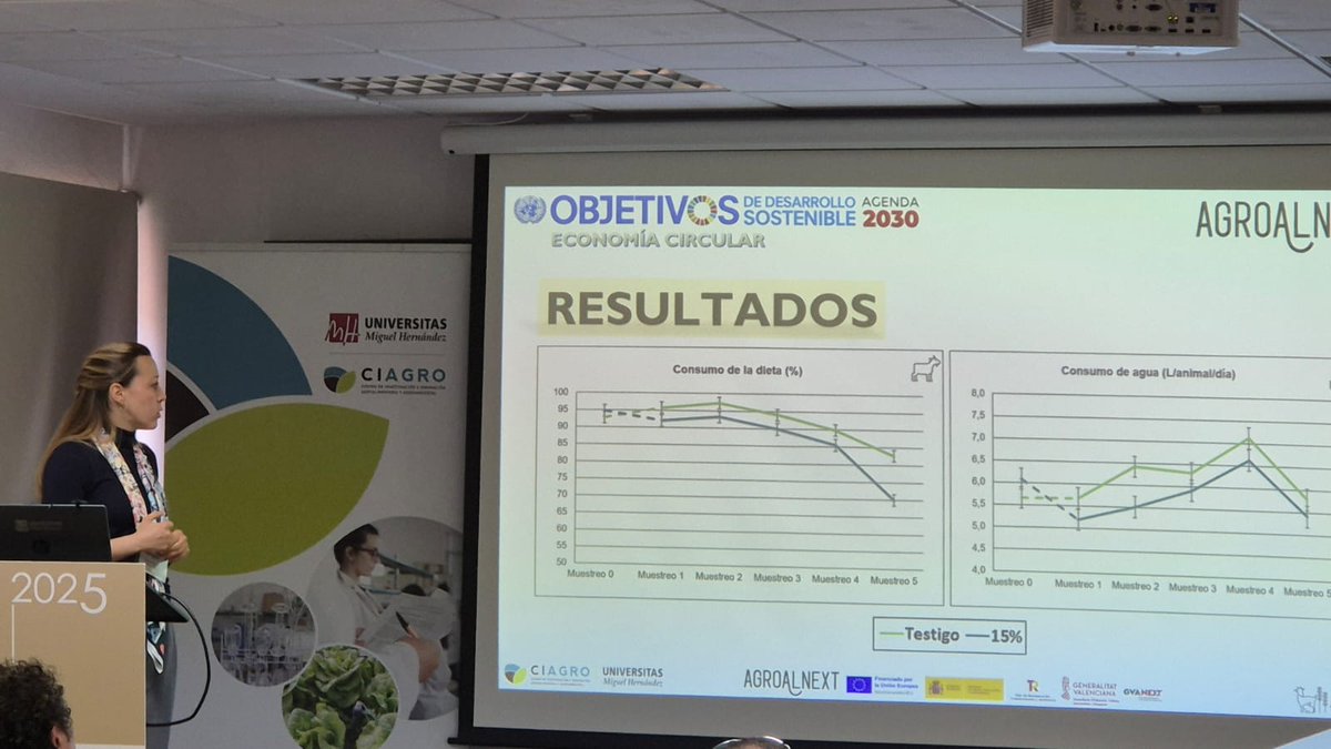 CITEPA (@citepa_umh) on Twitter photo Hoy en #AGROALNEXT 2025: 'Innovación y Transferencia en el Sector Agroalimentario Español' en el Campus de #Orihuela
<a href="/CIAGRO_UMH/">CIAGRO-UMH</a> <a href="/CITEPA_UMH/">CITEPA</a> <a href="/GVAivia/">IVIA</a> <a href="/UPV/">Universitat Politècnica de València</a>
Presentamos resultados de la inclusión de orujo de uva blanca ensilado en la dieta de caprino durante una lactación. Hoy en #AGROALNEXT 2025: 'Innovación y Transferencia en el Sector Agroalimentario Español' en el Campus de #Orihuela
<a href="/CIAGRO_UMH/">CIAGRO-UMH</a> <a href="/CITEPA_UMH/">CITEPA</a> <a href="/GVAivia/">IVIA</a> <a href="/UPV/">Universitat Politècnica de València</a>
Presentamos resultados de la inclusión de orujo de uva blanca ensilado en la dieta de caprino durante una lactación.