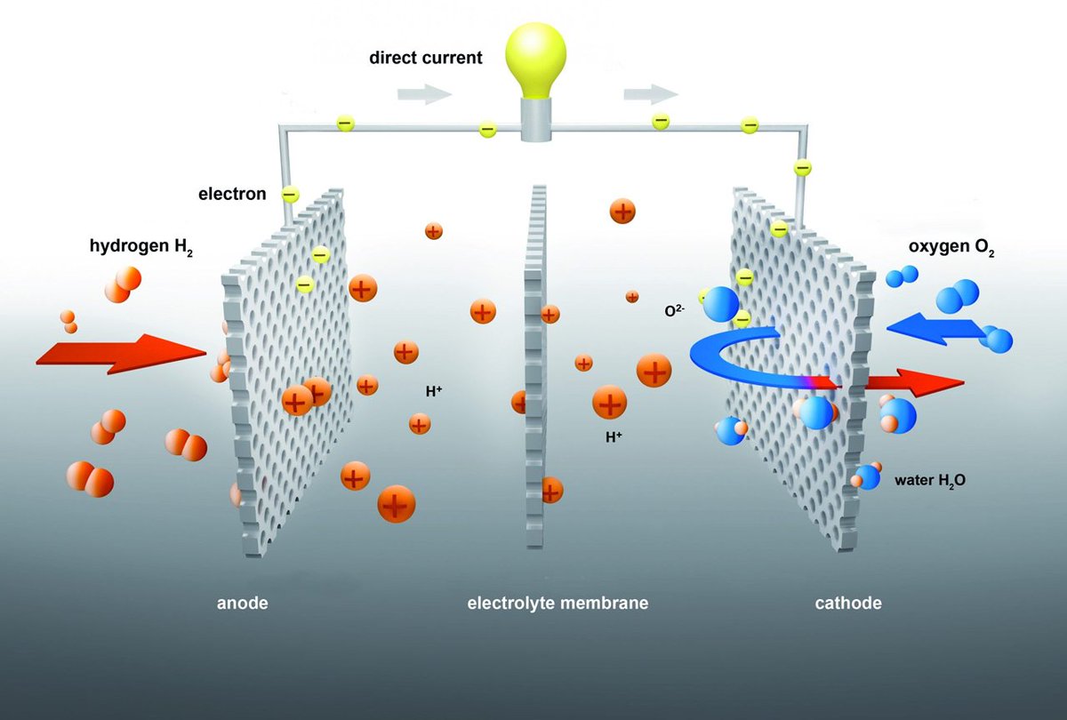How Hydrogen Fuel Cells Work?
Lately, you might have seen a lot of buzz about hydrogen fuel cells, especially with governments pushing policies to support this technology. But if you’re like most people, the term “hydrogen fuel cell” might sound a bit like science fiction. Don’t