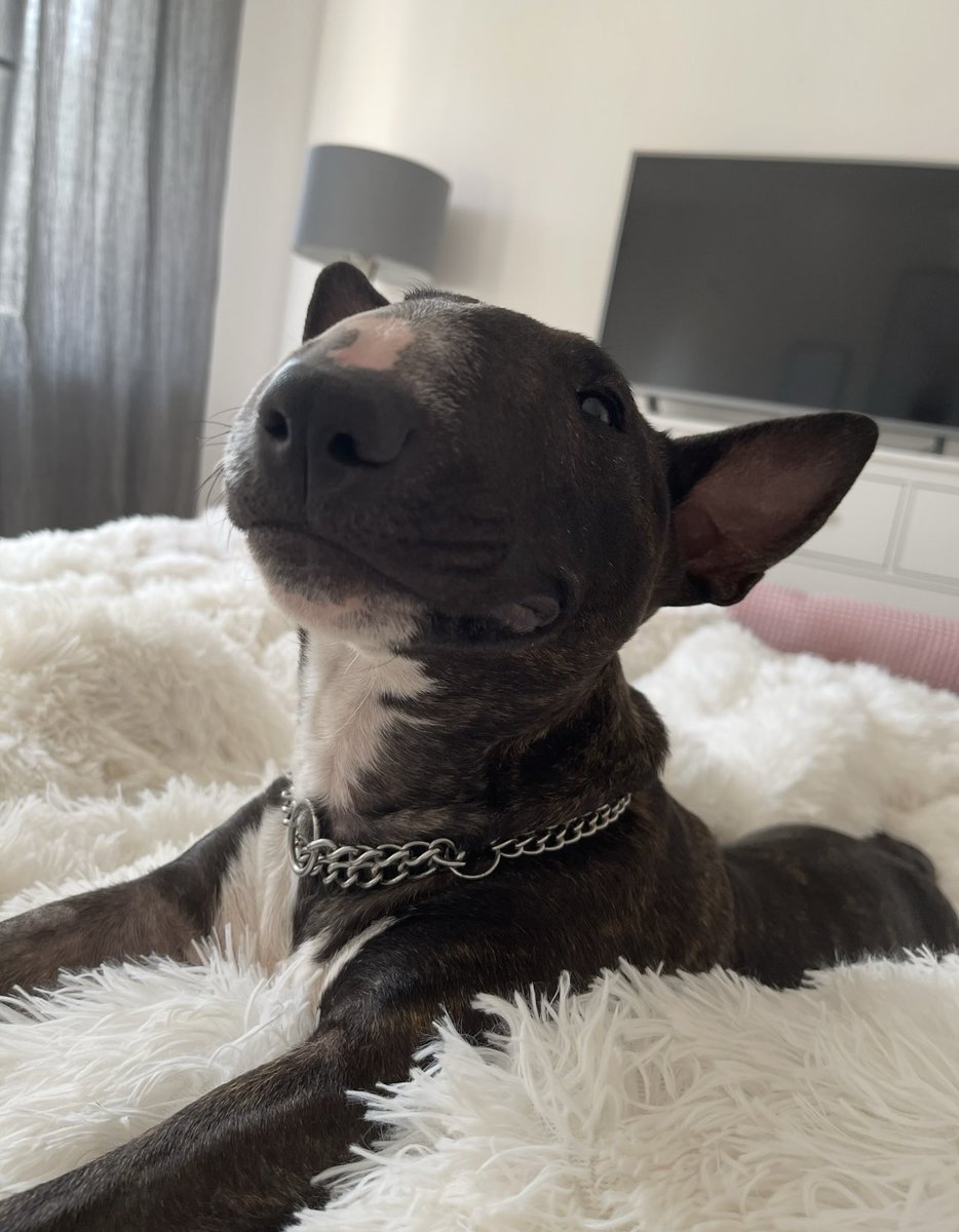 ASMR Janina 👸🏼 tweet media