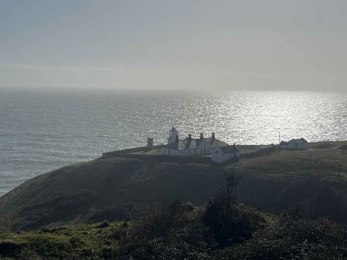 Samuel Cody School tweet media