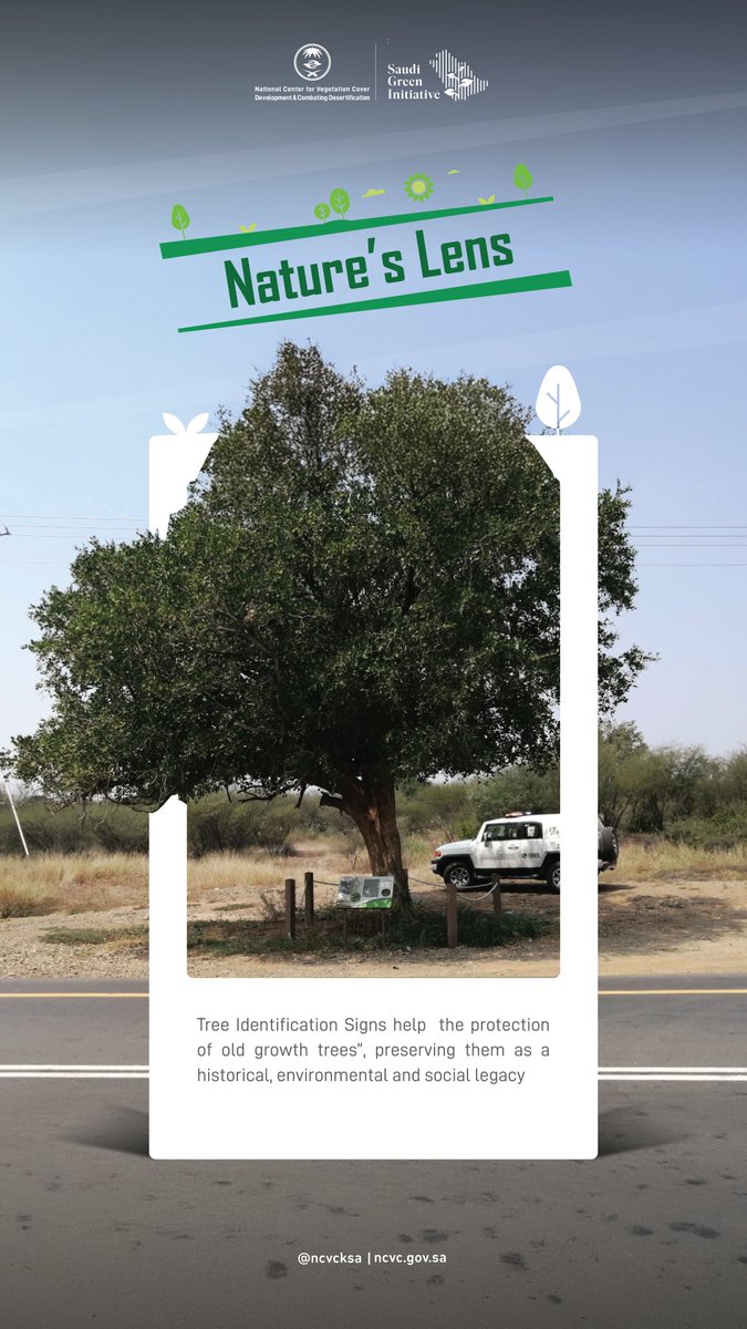 ncvcksa's tweet photo. Every act of care for nature blooms into a greener, more sustainable future.
Through #Natures_Lens, we capture the journey, one frame at a time https://t.co/5F80BceuP0